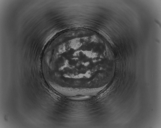 X0000091931023200710031055