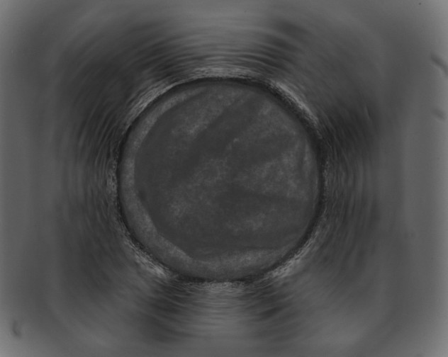 X0000091931025200710031055