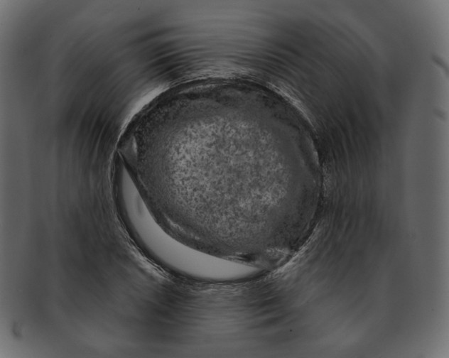 X0000091931026200710031055