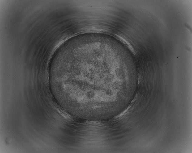 X0000091931027200710031055