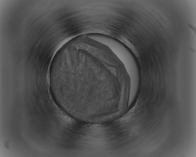 X0000091931028200710031055