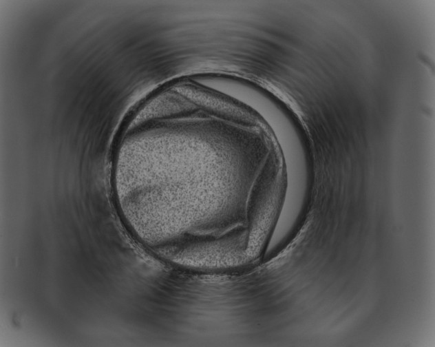 X0000091931029200710031055