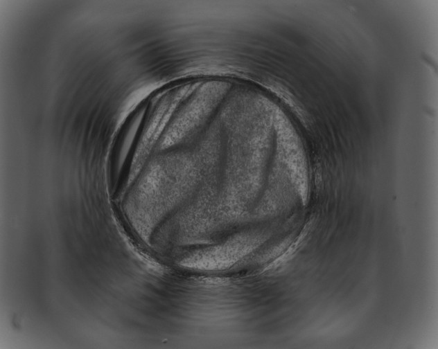 X0000091931030200710031055