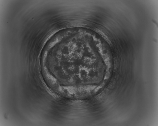 X0000091931031200710031055