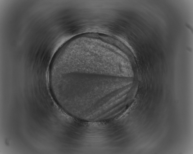 X0000091931032200710031055