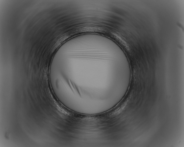 X0000091931033200710031055