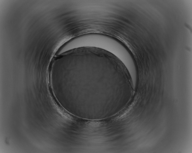 X0000091931034200710031055