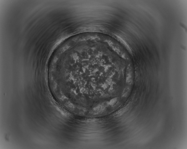 X0000091931035200710031055