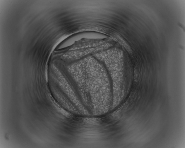 X0000091931036200710031055