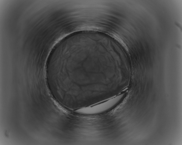 X0000091931037200710031055