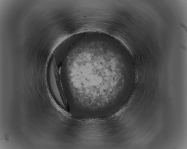 X0000091931038200710031055