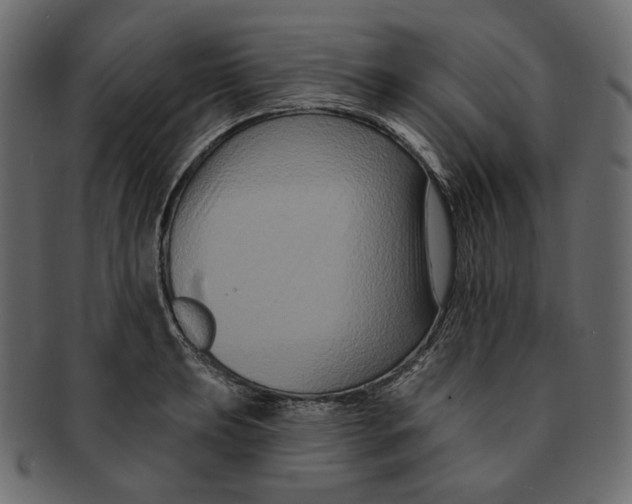 X0000091931039200710031055