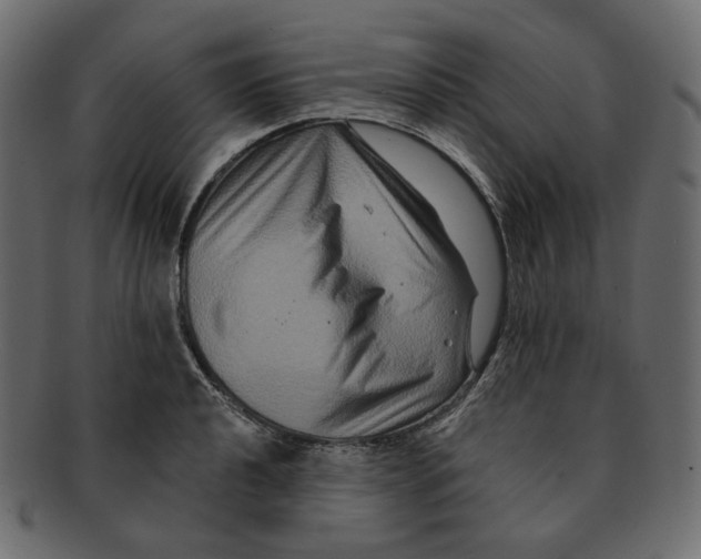 X0000091931040200710031055