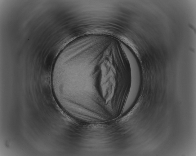 X0000091931041200710031055