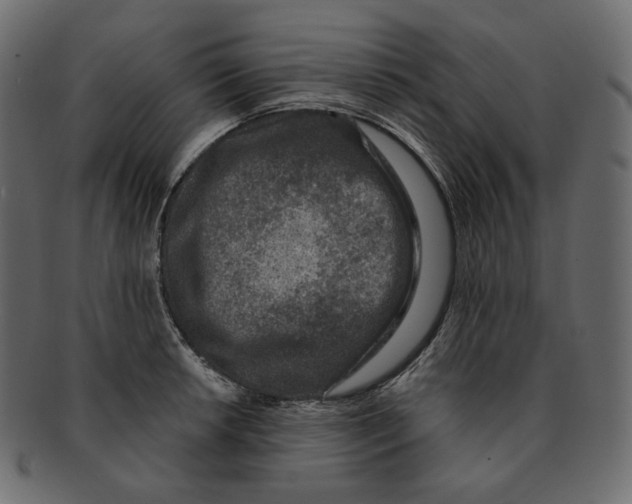 X0000091931042200710031055