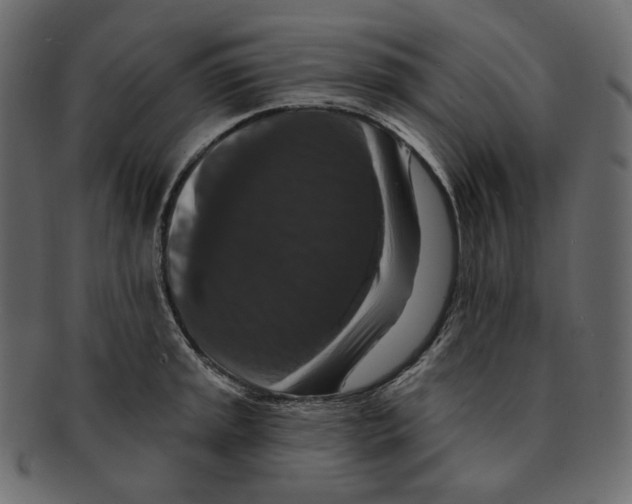 X0000091931045200710031055