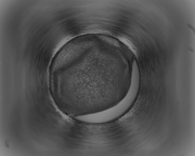 X0000091931046200710031055