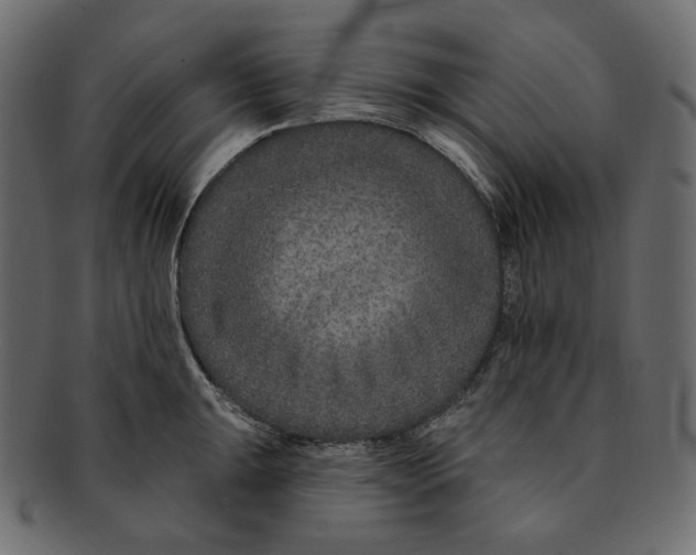 X0000091931047200710031055