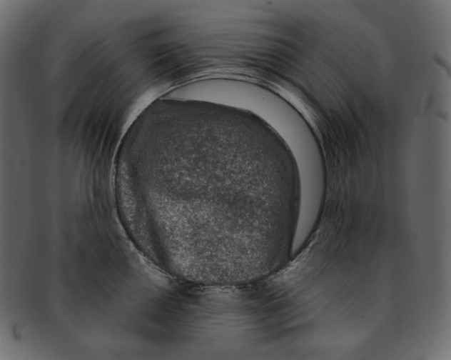 X0000091931050200710031055