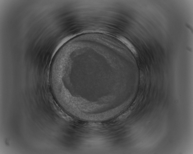 X0000091931052200710031055