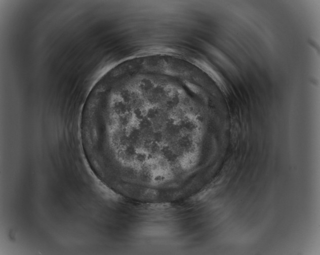 X0000091931055200710031055