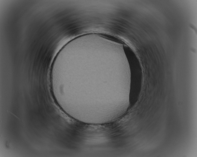 X0000091931056200710031055