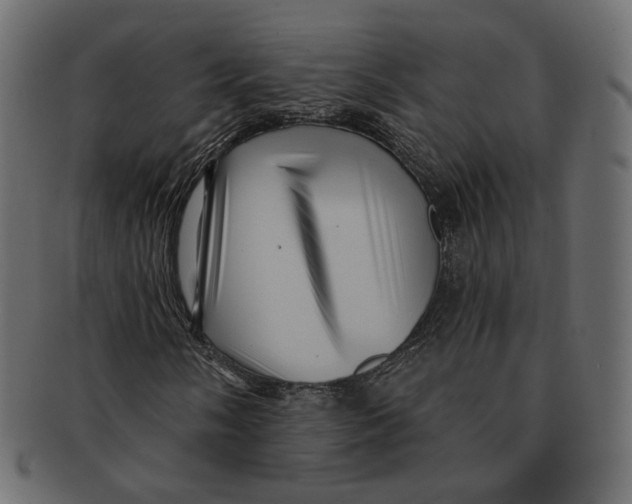 X0000091931058200710031054