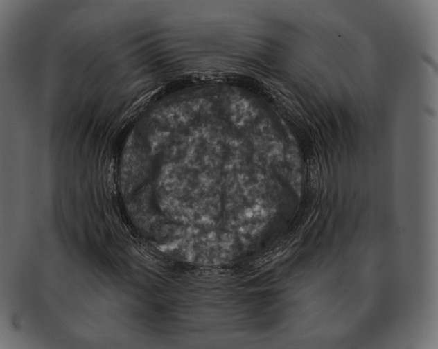 X0000091931060200710031054