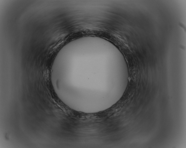 X0000091931061200710031054