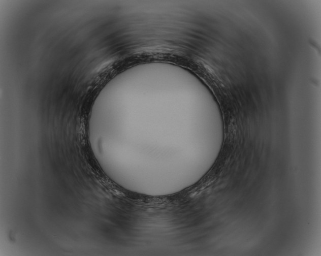 X0000091931062200710031054