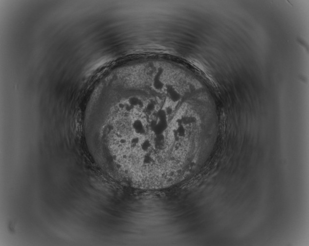 X0000091931063200710031054