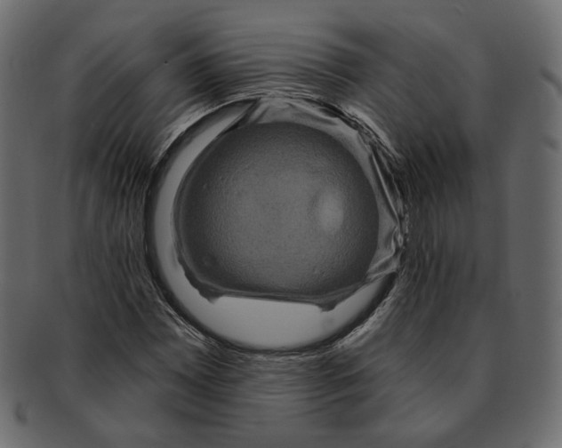 X0000091931065200710031054