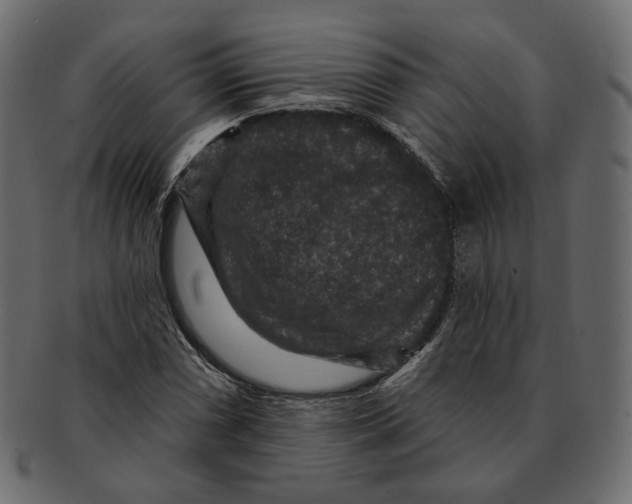 X0000091931066200710031054