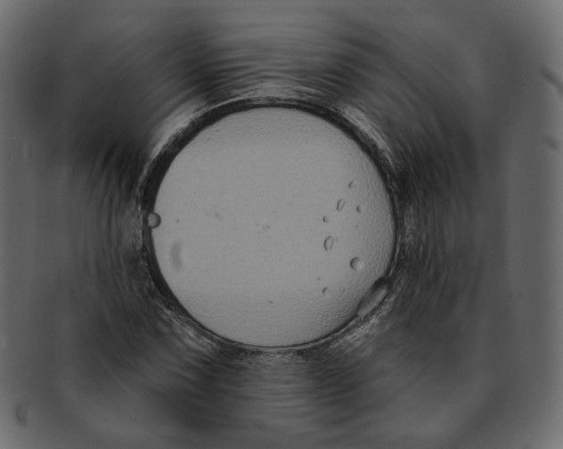 X0000091931067200710031054