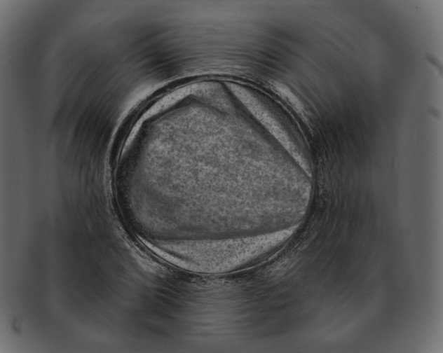 X0000091931072200710031054