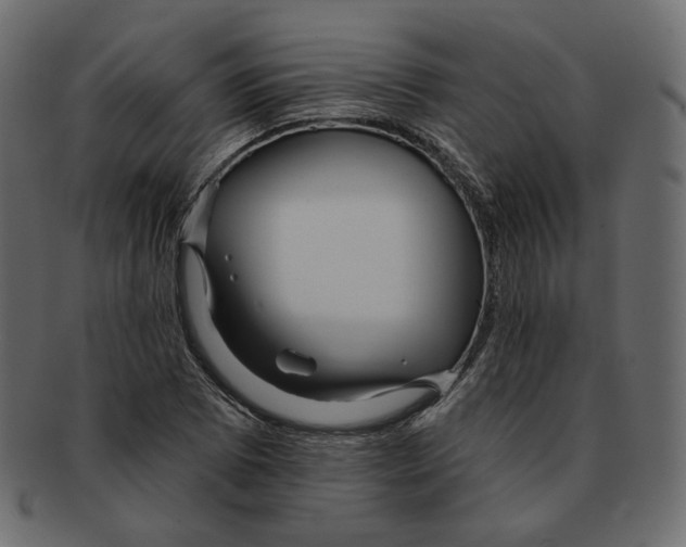 X0000091931073200710031054