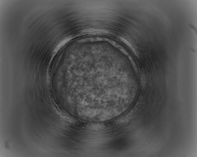 X0000091931074200710031054