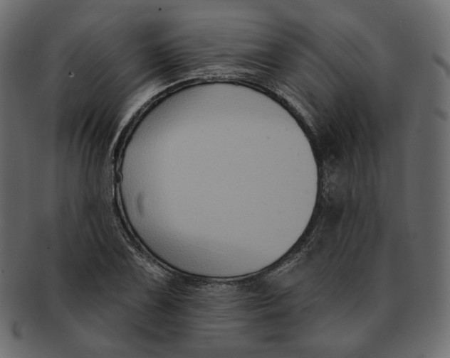 X0000091931075200710031054