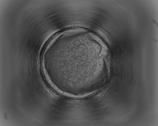 X0000091931076200710031054