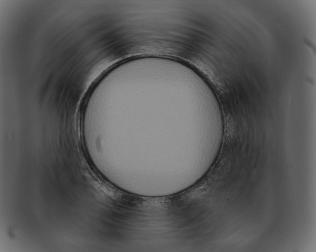 X0000091931078200710031054