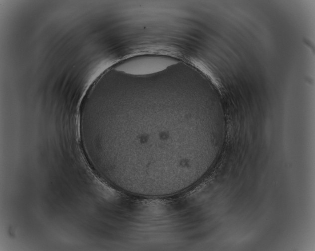 X0000091931079200710031054