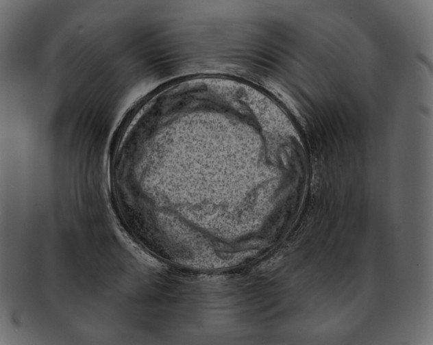 X0000091931080200710031054