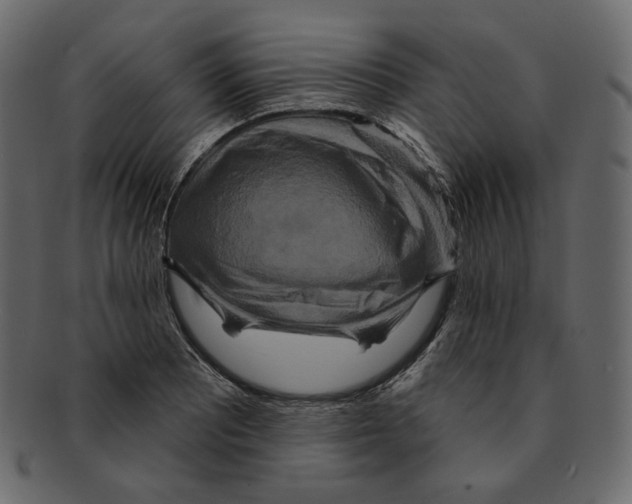 X0000091931081200710031054