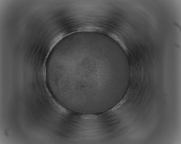 X0000091931083200710031054