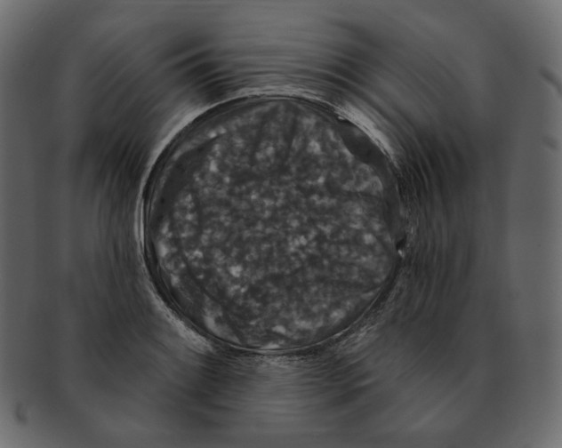 X0000091931084200710031054