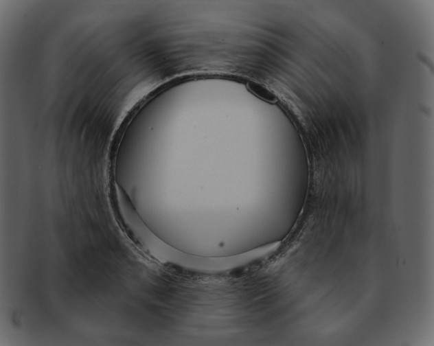 X0000091931085200710031054