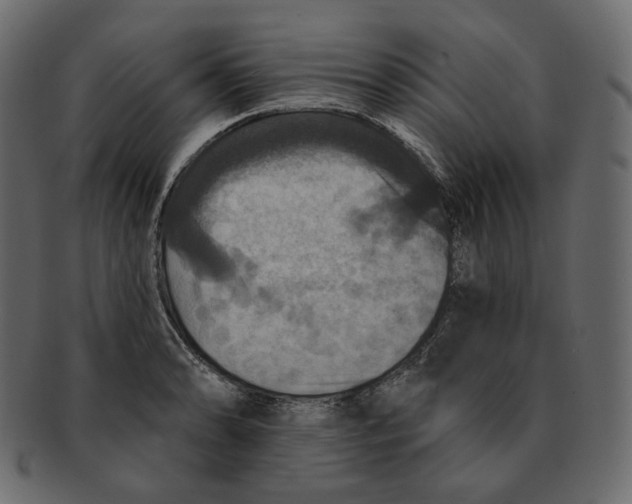 X0000091931086200710031054