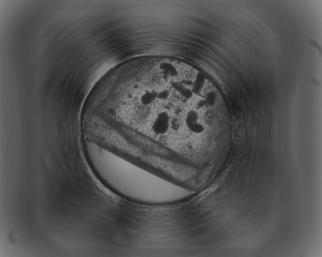 X0000091931087200710031054