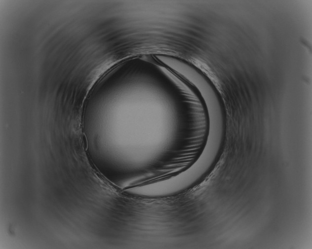 X0000091931089200710031054