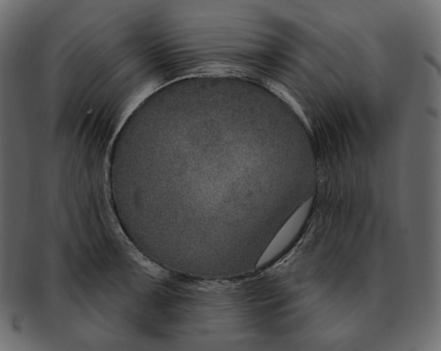 X0000091931091200710031054